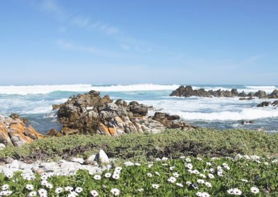 Cape Agulhas Küste
