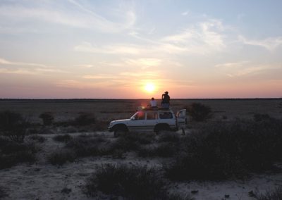 Buschveld Sonnenuntergang