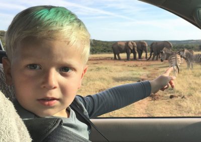 Kinder lieben es die Tiere zu beobachten